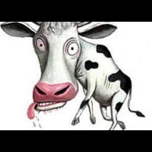 Meet your Posher, Rafael